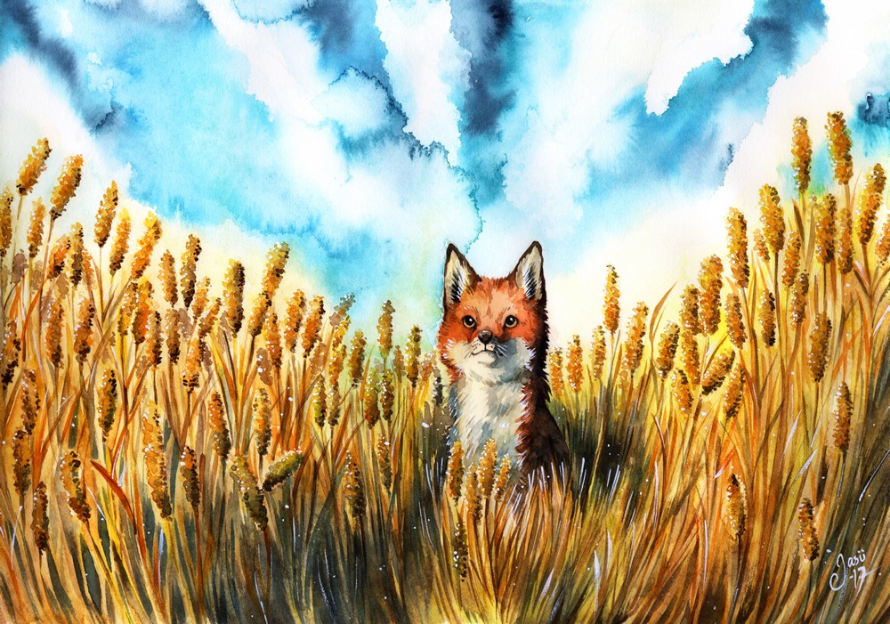 Print - Fox on a Grainfield